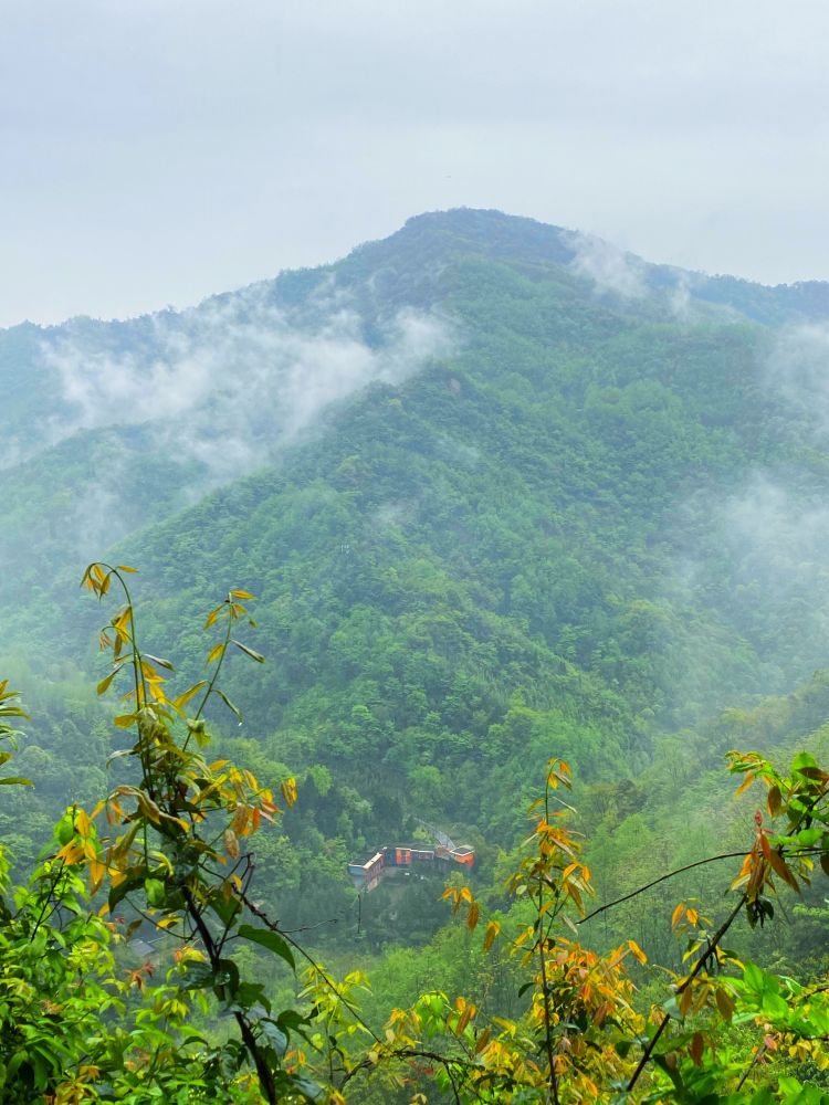 深山野岭图片大全图片