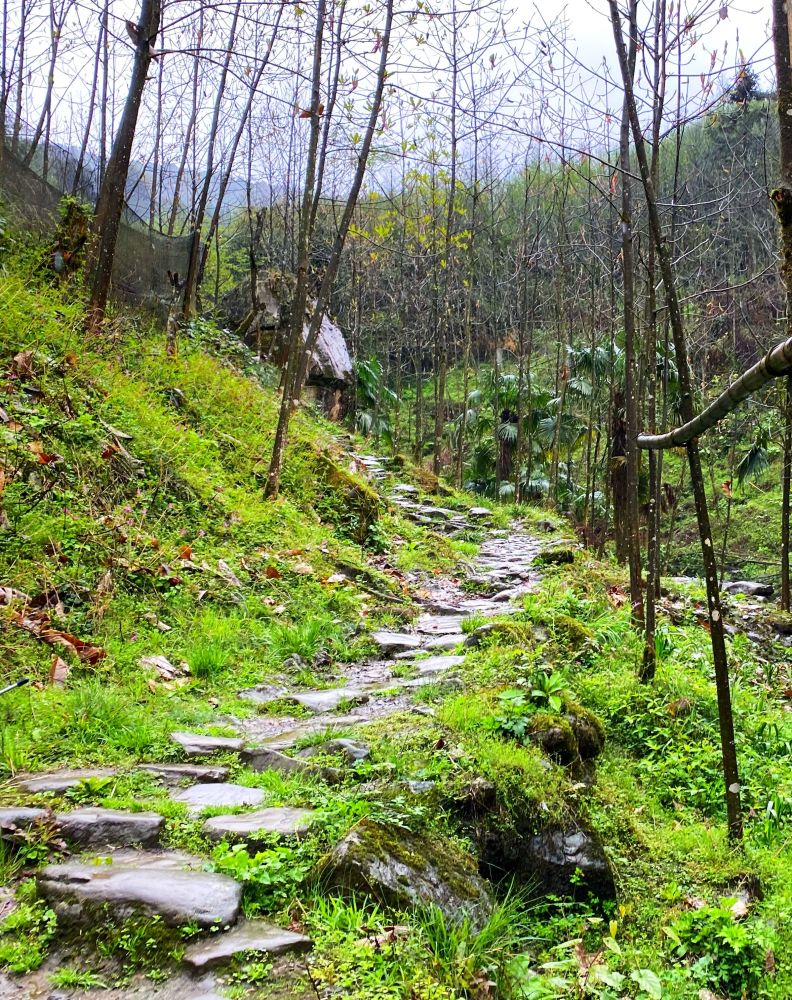 徒步成都大邑龙窝子冒雨行走在人迹罕至的深山野岭中途差点找不到路