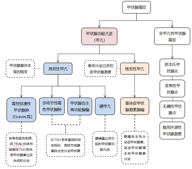 甲狀腺|tpoab|戴冬君|治療|過氧化物|甲亢|甲狀腺激素|甲狀腺毒症|up