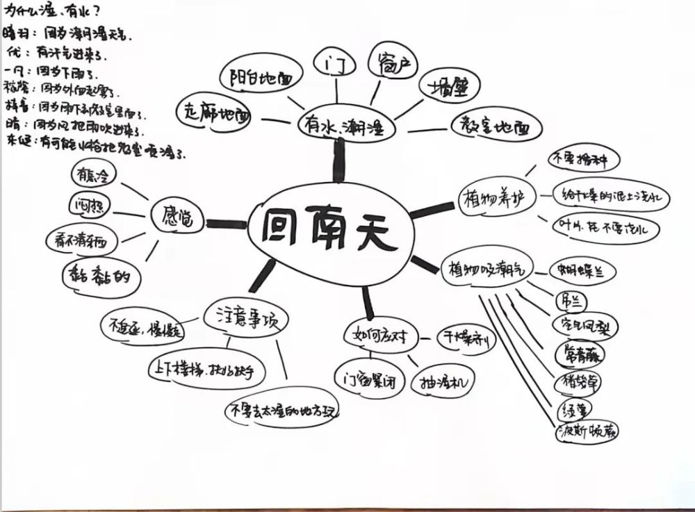 老師用思維導圖記錄了孩子們對於