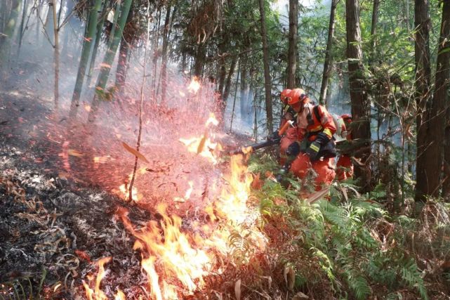 在四川涼山木裡縣森林火災救援過程中,27名森林消防救援人員突遇山