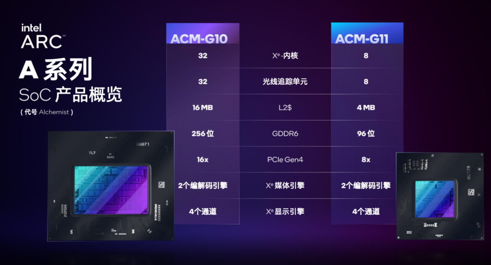 金牌大只注册官方下载-学生作文网