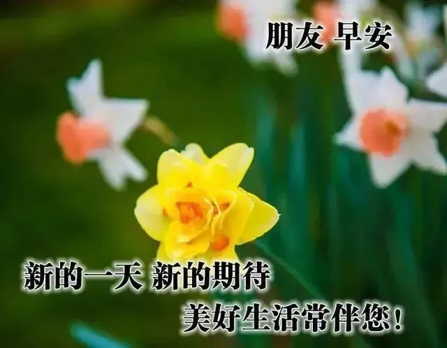 2022年3月31日特好看的清晨早上好祝福圖片精選新版唯美早安祝福語