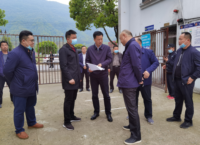 萬鼎先後實地瞭解了浮屠鎮吳智村,森鋪村和三溪鎮佔用林地,違法用地