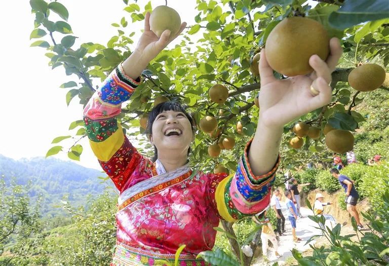 黄山拔节生长向晴空
