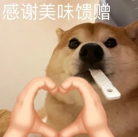 小动物emoji手势联动表情包