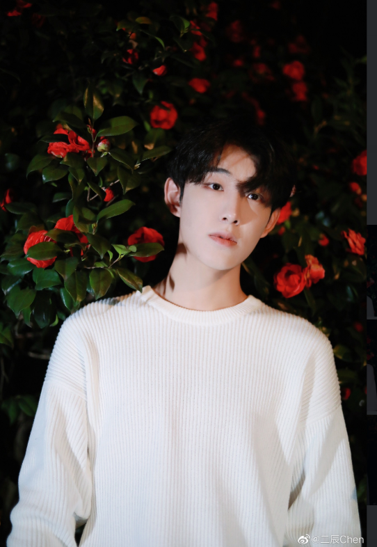 作为一个千万级粉丝的主播,二辰之所以能够大火,除了