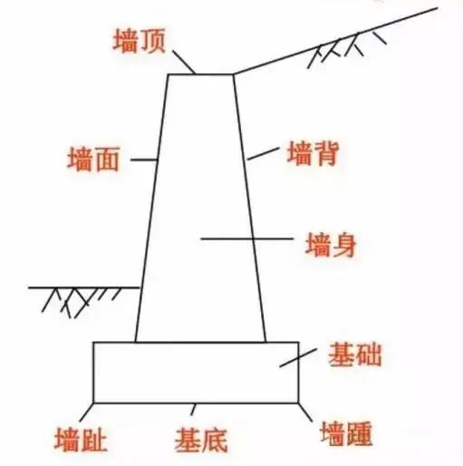 基底的后端称为墙踵.
