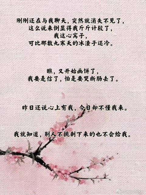 婚纱梦经典语录图片