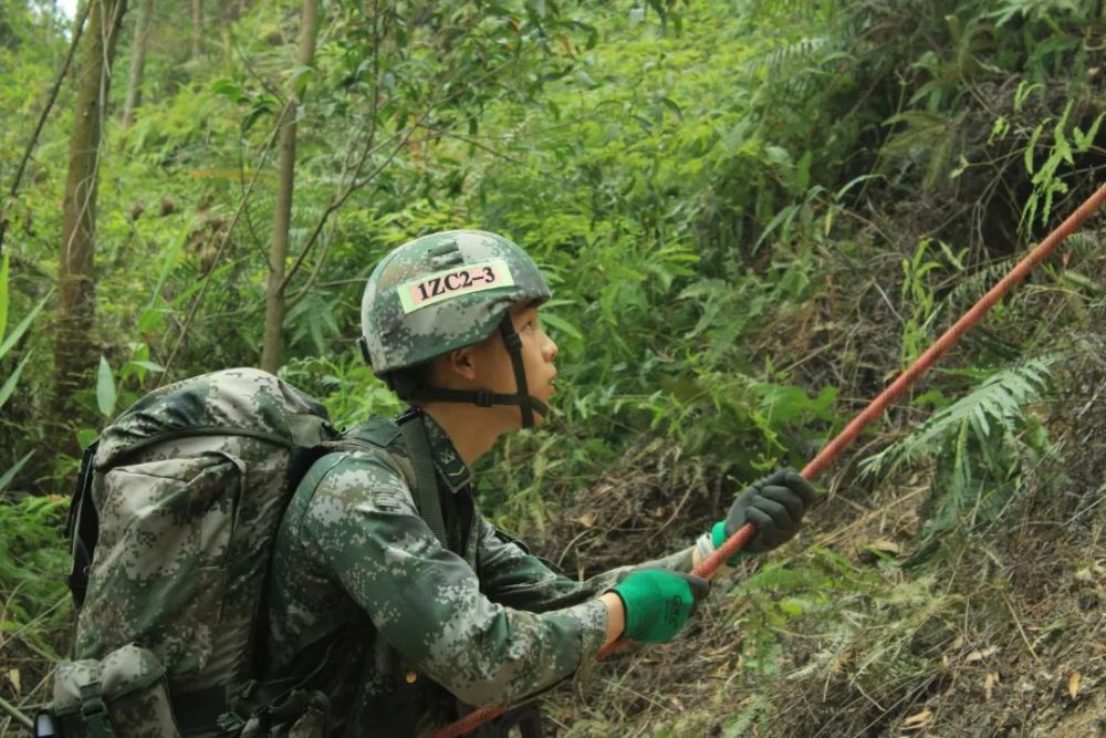 国防部：亮剑榆次区杨晓萍
