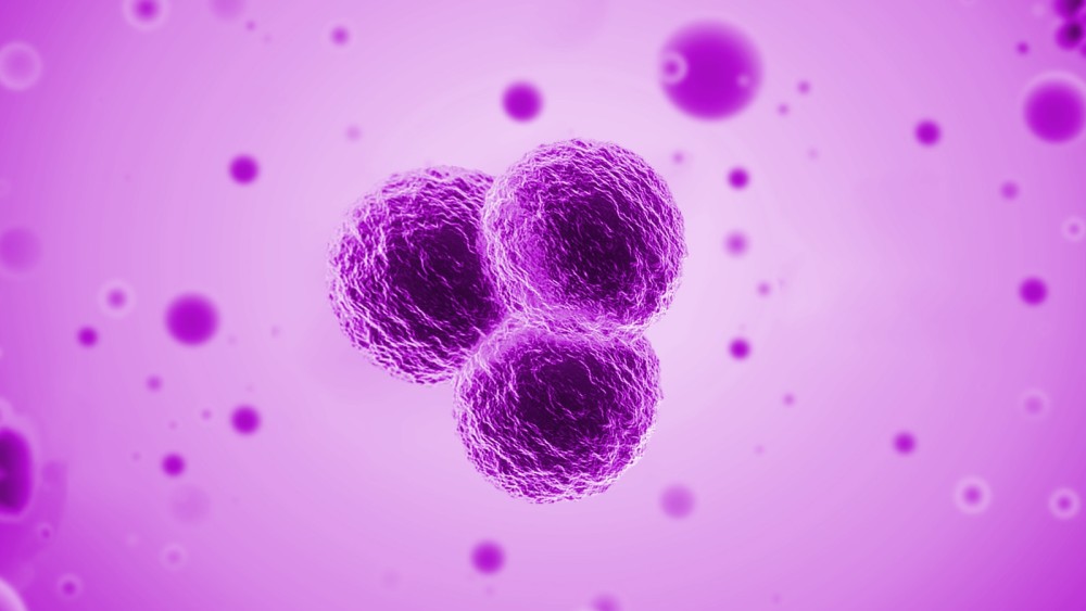 干细胞移植对宫颈癌有治愈作用吗