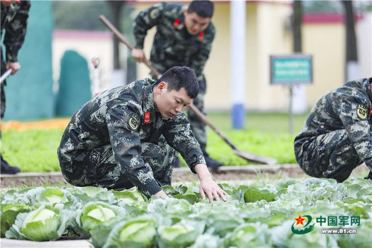 王志杰白头盔变红管家转身依然较真