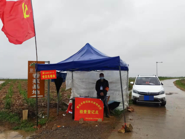 江州区罗白乡党员干部勇当先锋,夺取疫情防控和经济发展双胜利_腾讯
