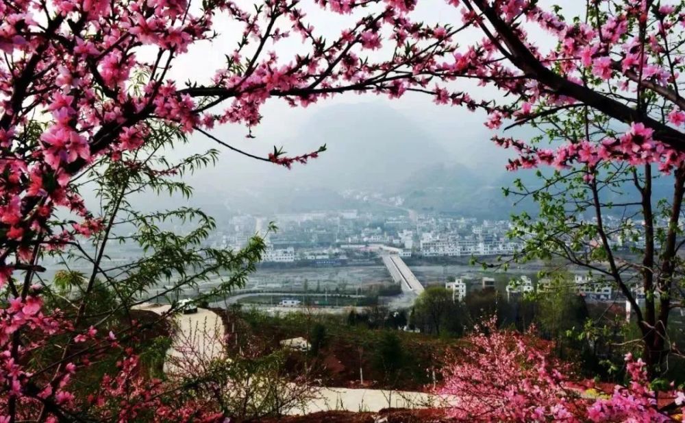 桃花朵朵满商山来丹凤桃花谷解锁现代版世外桃源