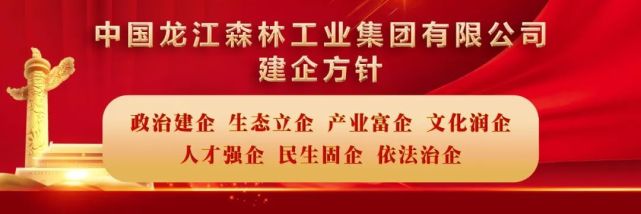 排查……在大海林林業局有限公司各個街道社區,網格員們格外引人注目