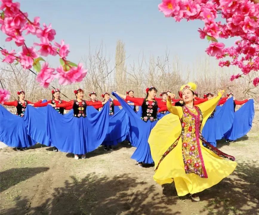 第三届杏花节轮台县野云沟乡杏花开满园春日意盎然