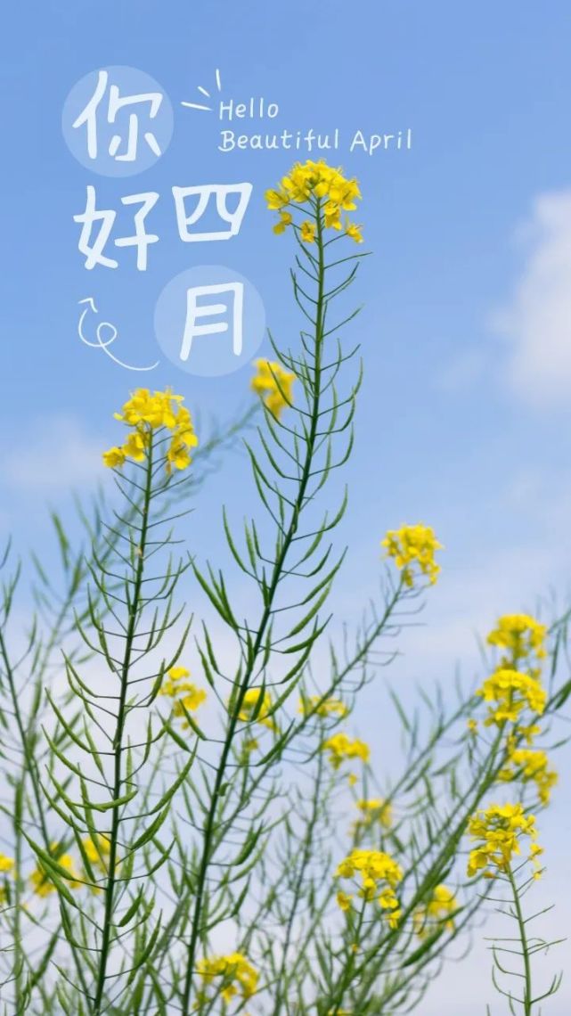 四月你好图片早安文案