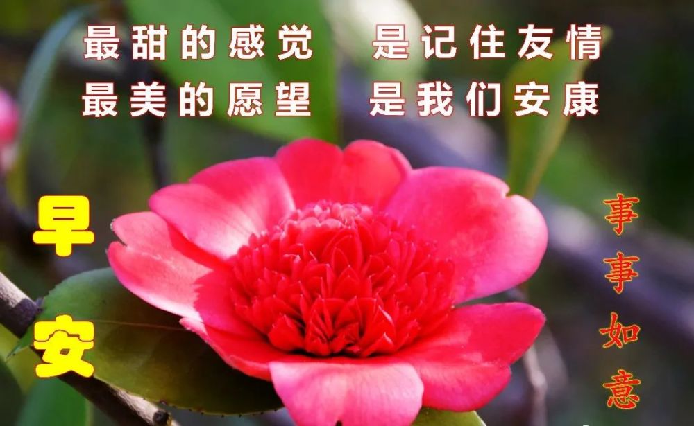 早上好圖片祝福語朋友圈正能量早安勵志心語