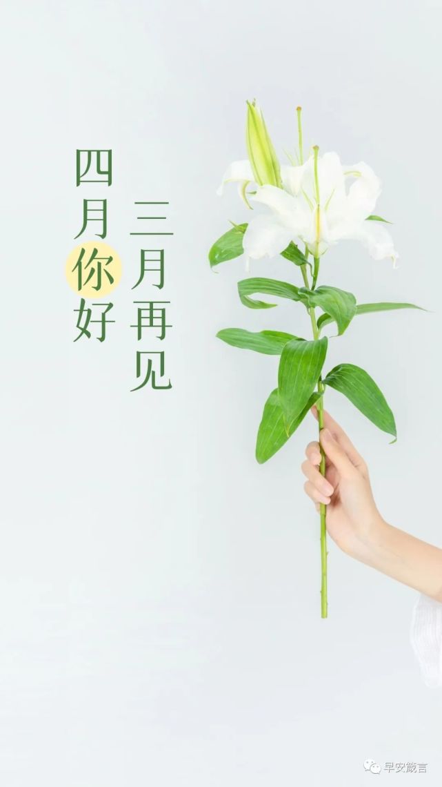 四月你好早上好图片,4月你好的正能量早安唯美句子
