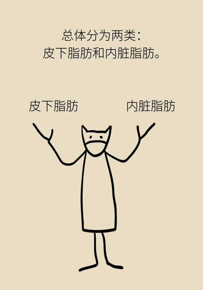 体内这种脂肪必须减,和多种疾病相关联!_腾讯新闻