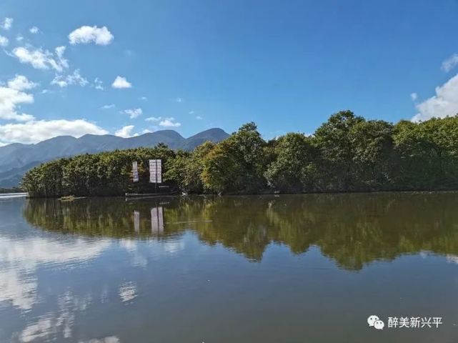 金灿灿(孙吉萍)沉醉(孙吉萍)一抹绯红(郑海群)嫣红(郑海群)河鸭戏水