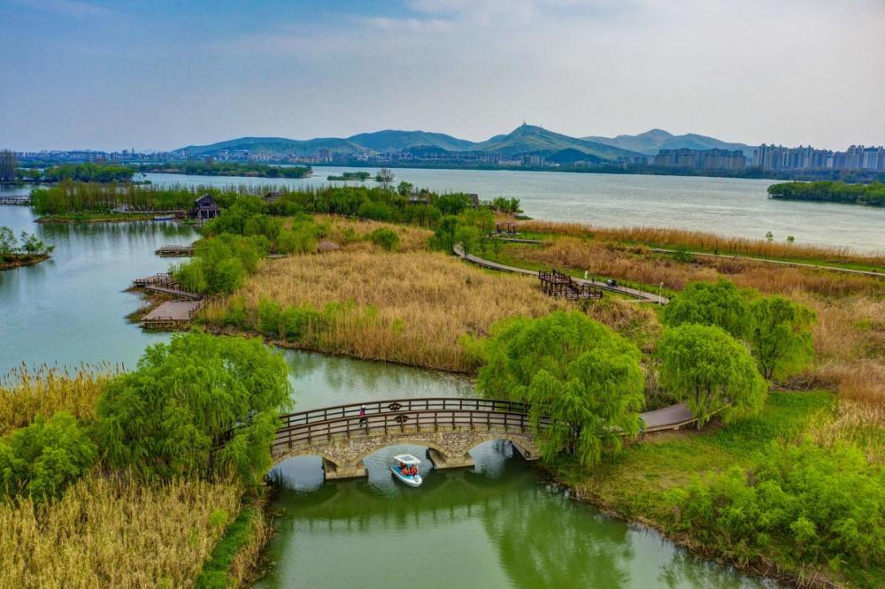 全媒體記者祝兆林)3月30日,襄陽市樊城區月亮灣溼地公園,綠樹成蔭