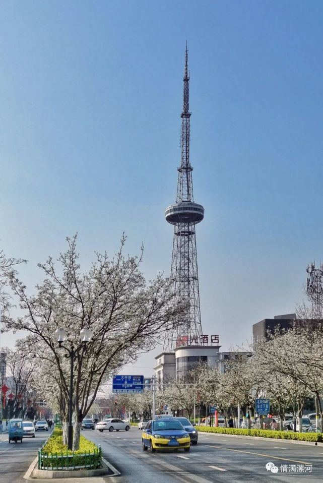 《春天的诗行》漯河影友精彩摄影作品欣赏(72期)