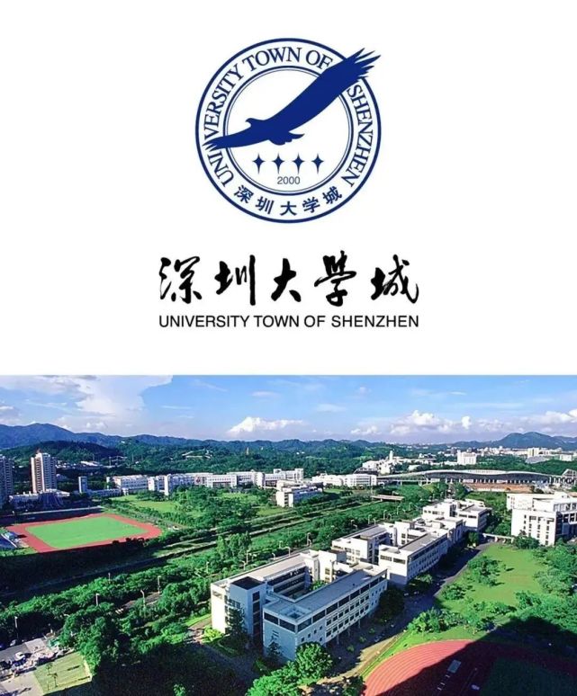 南国清华人物访谈|黄维:以"设计"力量,助力大湾区创出世界品牌