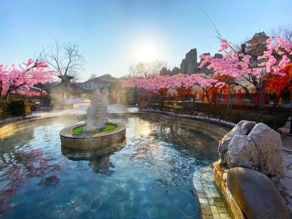 【畅游平山】清明泡温泉丨邂逅白鹿,我们一起约会春日暖阳～_腾讯新闻