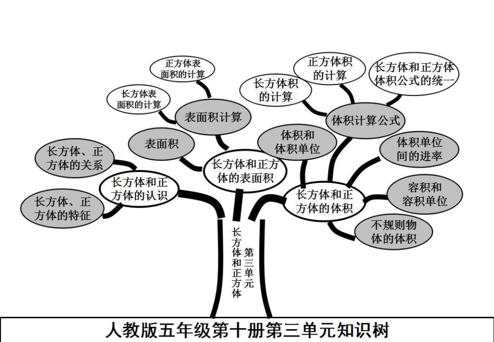 人教版五年级数学下册各单元思维导图