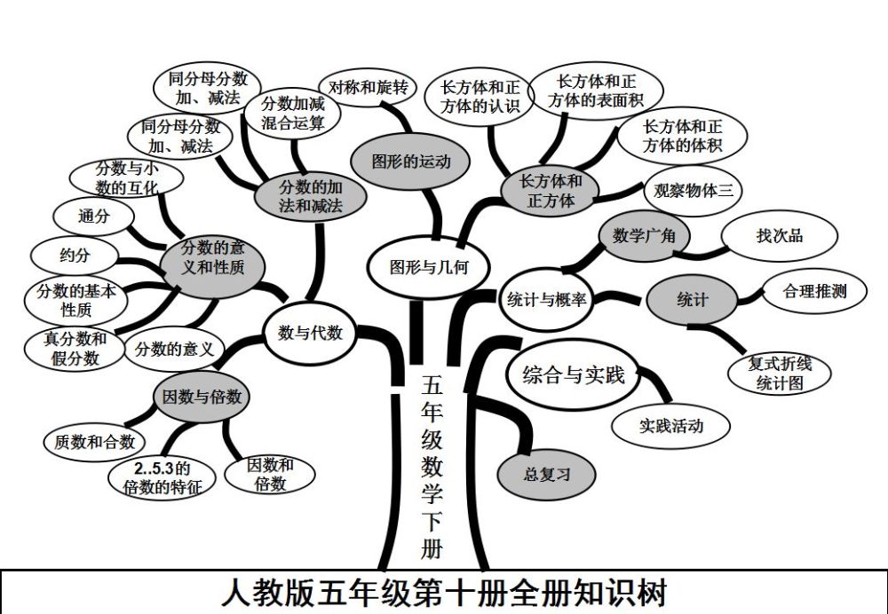 人教版五年级数学下册各单元思维导图