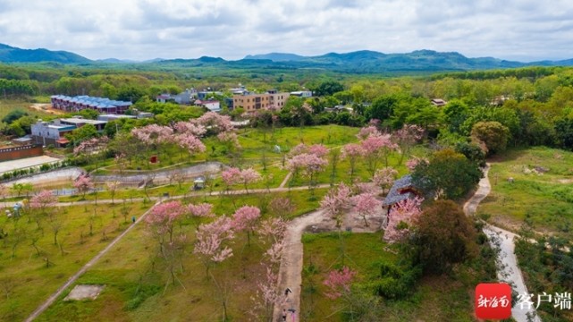 海南省儋州市兰洋镇图片