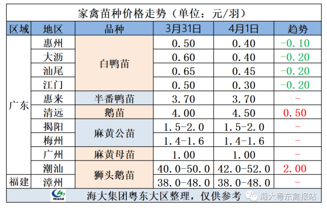 元/斤商品鹅蛋商品鹅蛋价格黑狮大鹅黑狮鹅苗狮头大鹅狮头鹅苗狮头苗