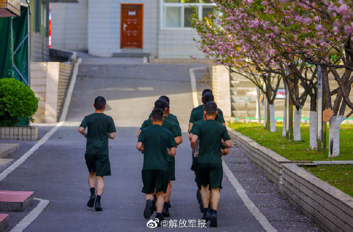 花开了！一起欣赏军营春色小孩子点读免费版下载