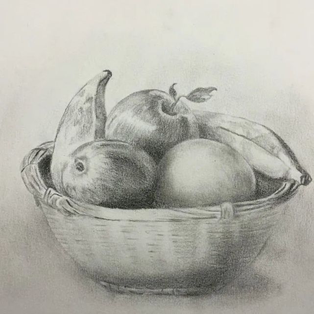 美术 水果 静物 素描 作品