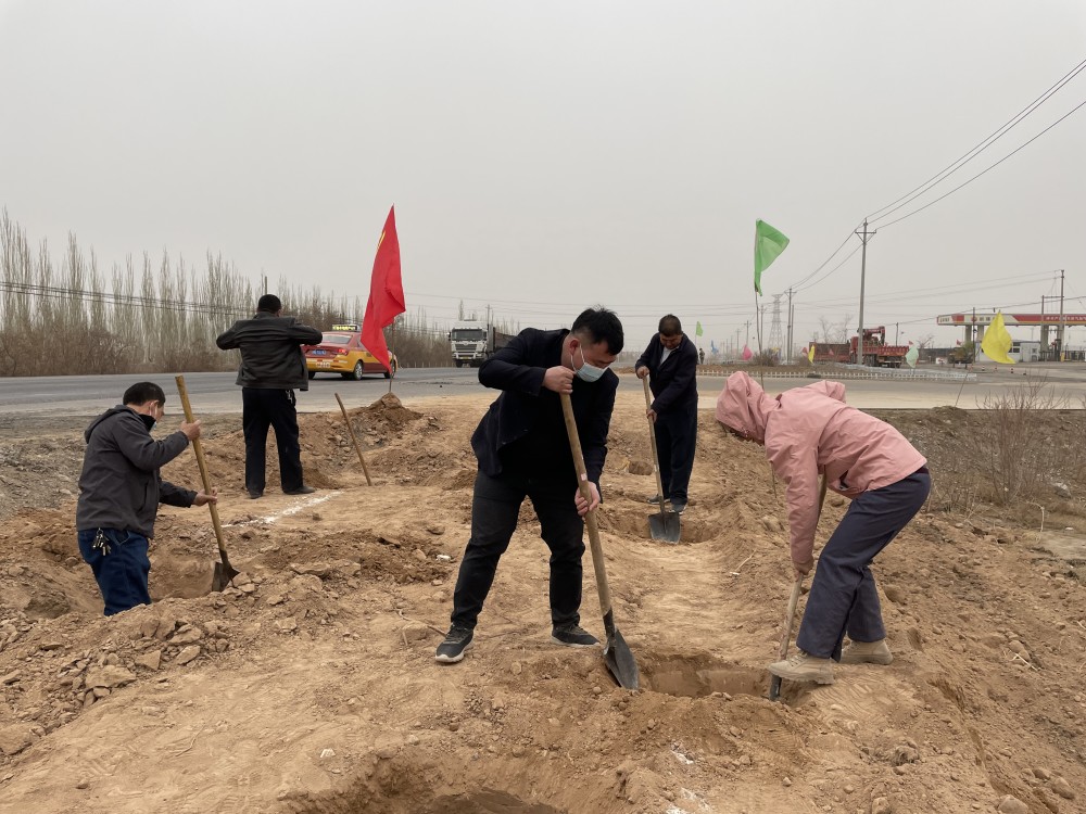 伊西哈拉镇:春风十里迎春到,"植"此青绿正当时