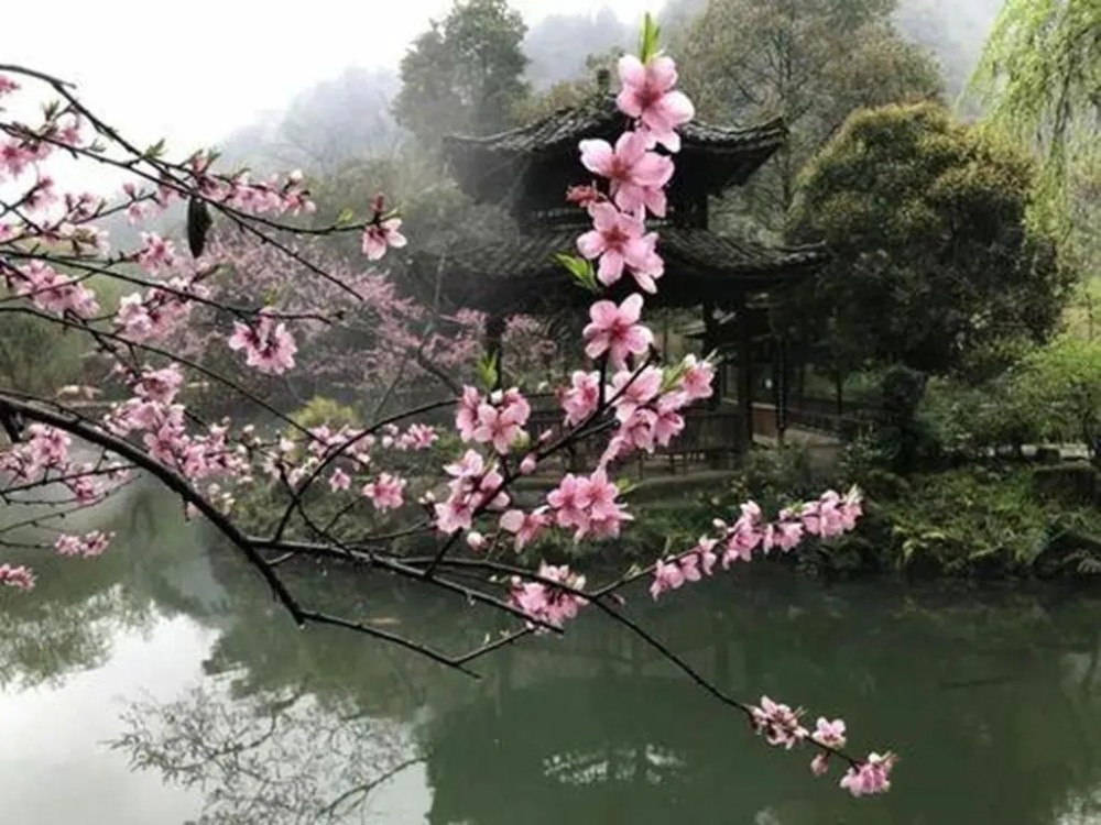 這九首桃花詩風韻獨具意境高妙風流才子能排第幾