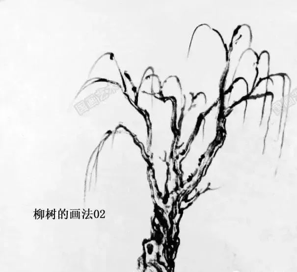 书画联盟丨柳树画法分步图解