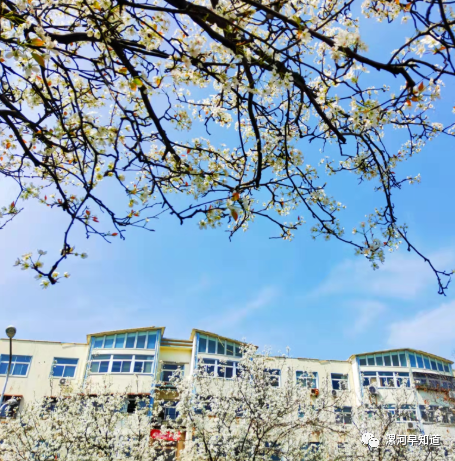 莺歌婉转,燕语呢喃.繁花似锦,极尽绚烂.细柳如丝,烟雨如织.