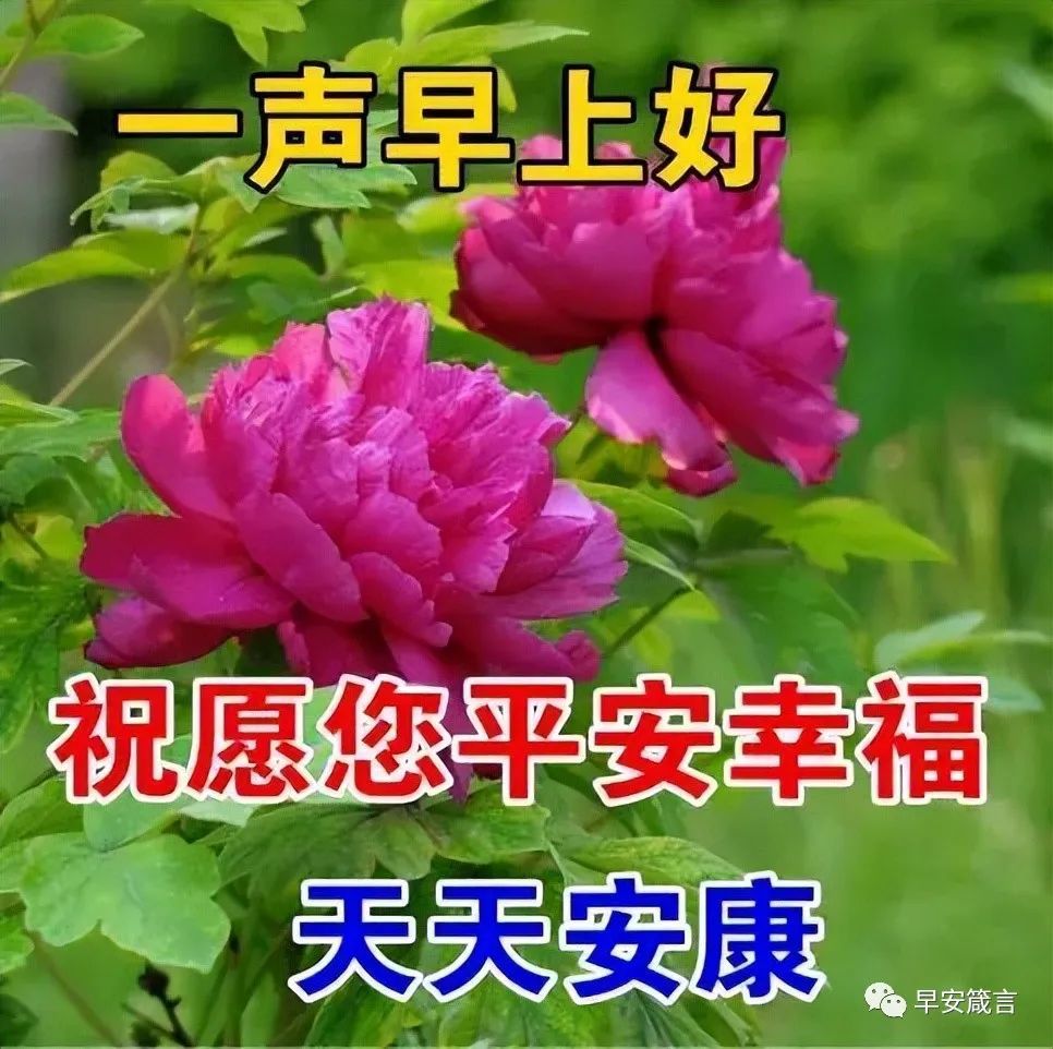 早上好圖片祝福語正能量早安勵志陽光心語