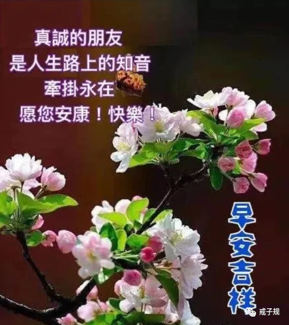 早上好深深祝福早安吉祥