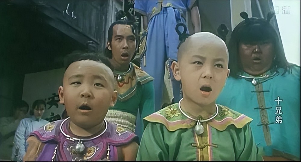 之后,郝劭文又先后出演了《笑林小子》,《**龙》,《十兄弟》,《龙在