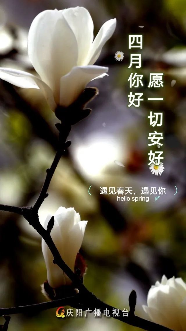 最美不过人间四月天