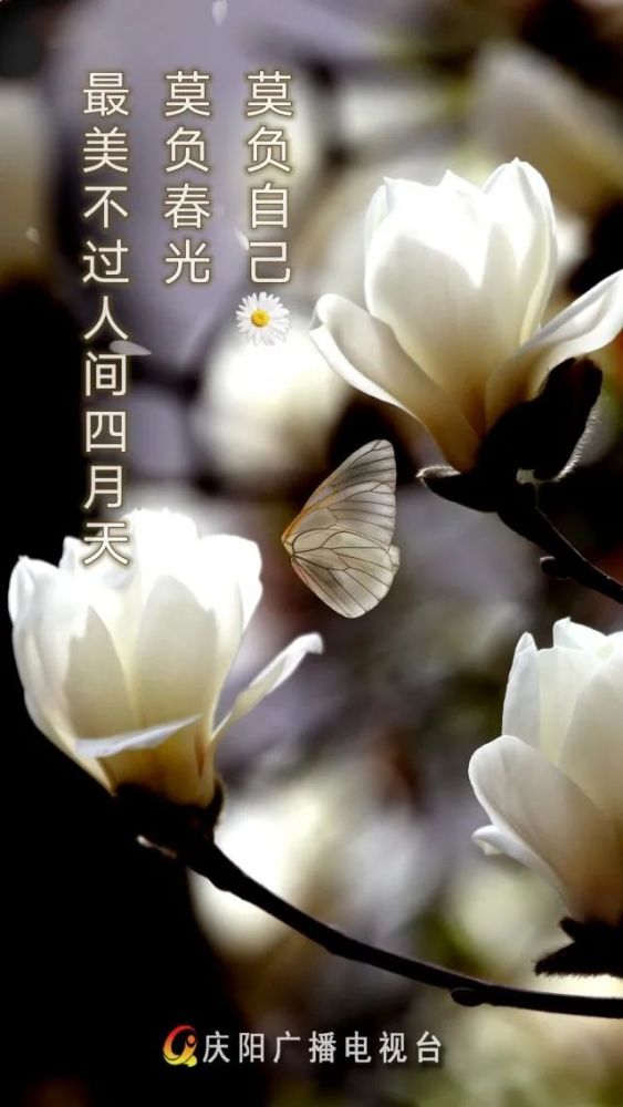 最美不过人间四月天