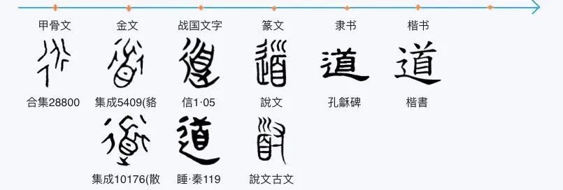 【字形演变】今天我们来认识【道 dào】这个字.