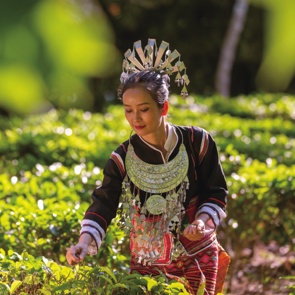 黎族姑娘卓书颜生于斯,长于斯,在传统黎族文化浸润下,她的生命早已深