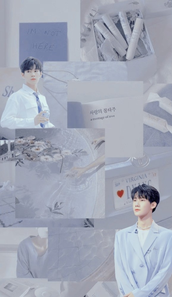 拼接壁纸丨张真源