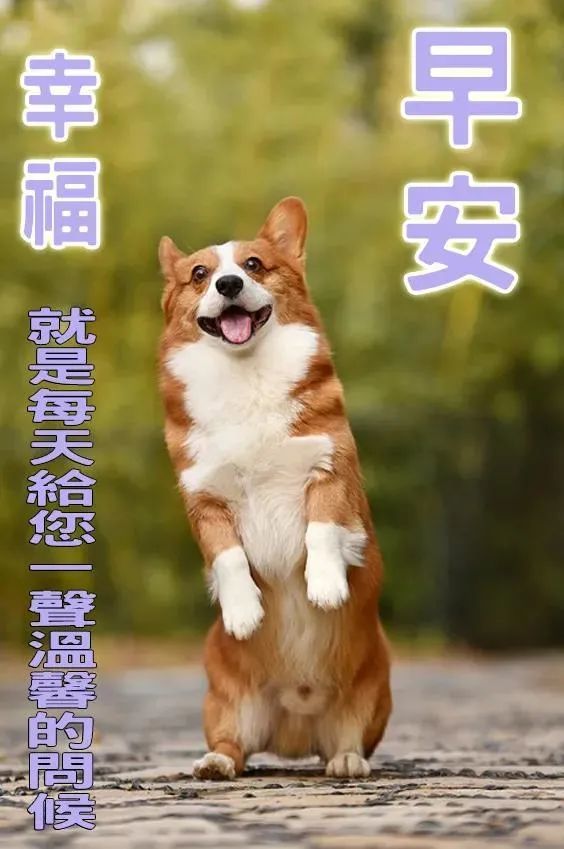 爱与被爱,都是让人幸福的事情,不要让这些变成痛苦,早安!