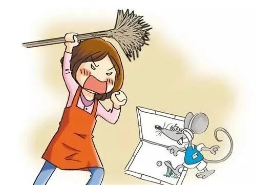 这些防鼠灭鼠小知识,你了解吗?_腾讯新闻