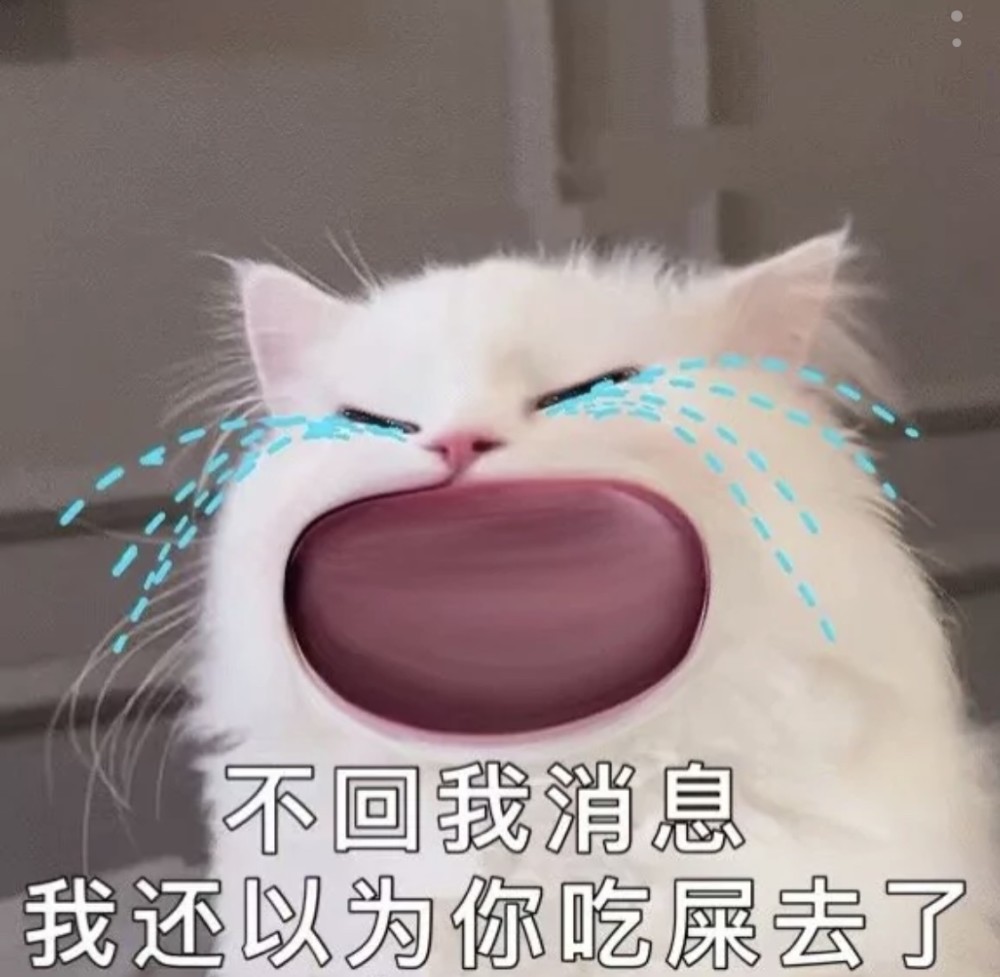 可爱猫咪沙雕表情包第二弹